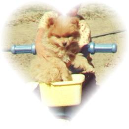 Dusty Marvin Monroe Landon